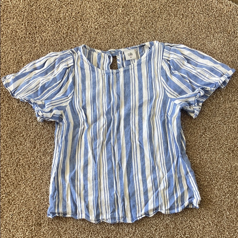 CAbi Blue and White Striped Top